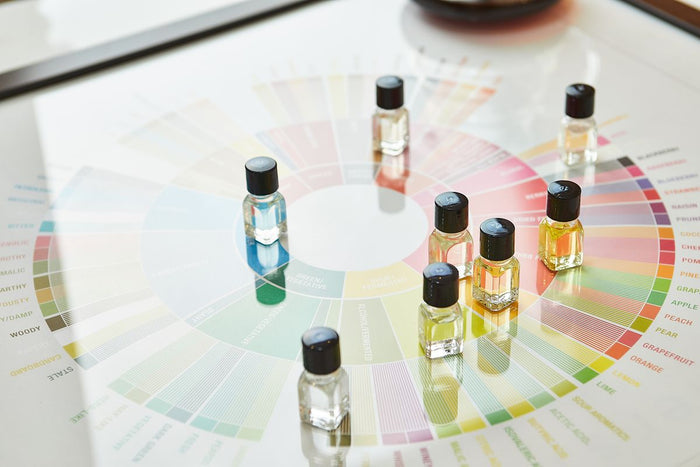 Perfume sample vials arranged on a fragrance wheel for at-home testing