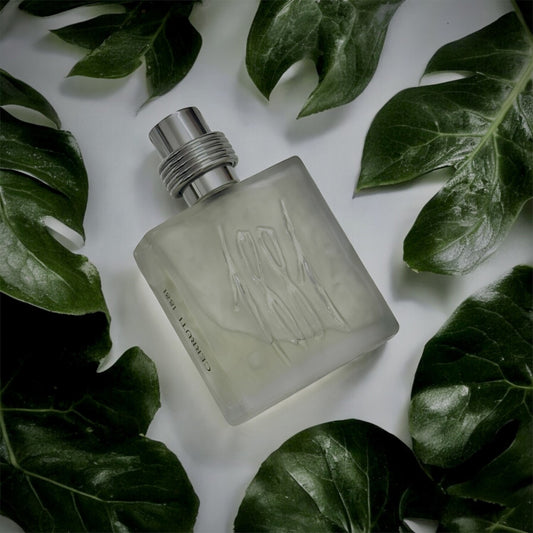 Cerruti 1881 by Nino Cerruti Eau De Toilette Spray, 3.4 oz