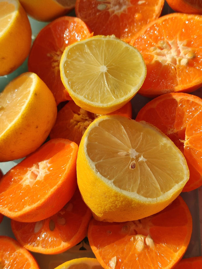 Fresh citrus fruits evoking bright, clean summer fragrance notes