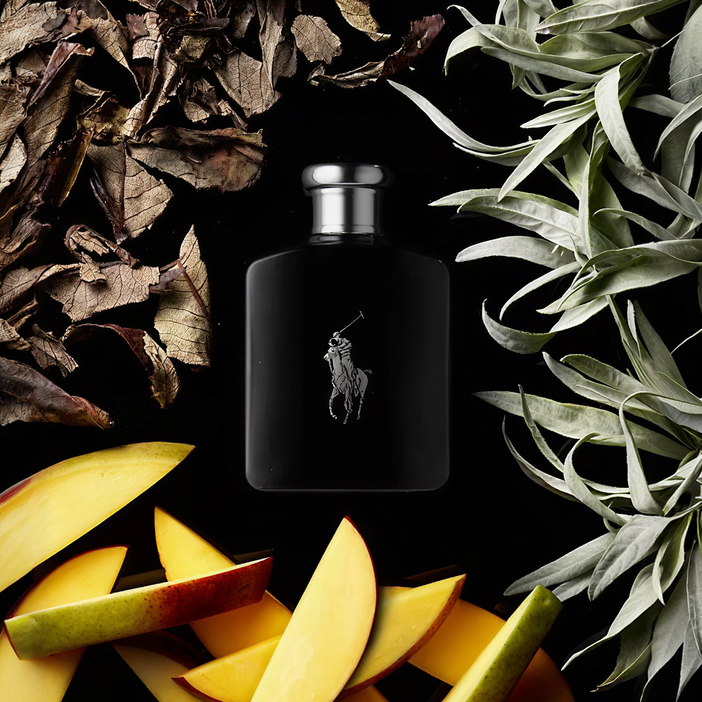 Ralph Lauren Polo Black Eau de Toilette Spray