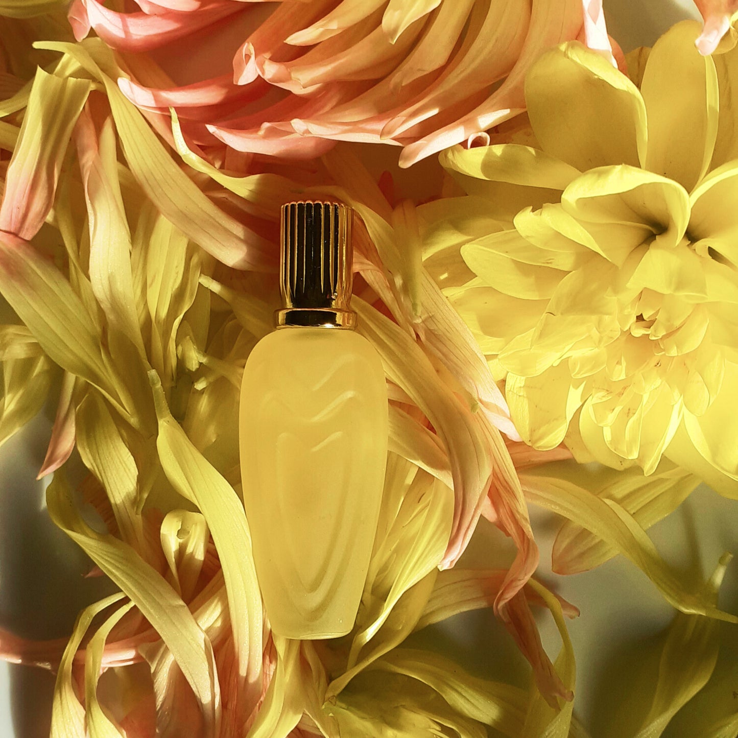 Escada Jardin De Soleil Eau de Toilette Spray, 1.7 oz