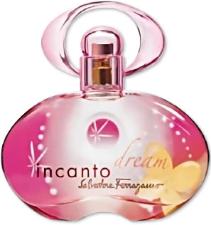 Salvatore Ferragamo Incanto Dream 3.4 OZ EDT SP