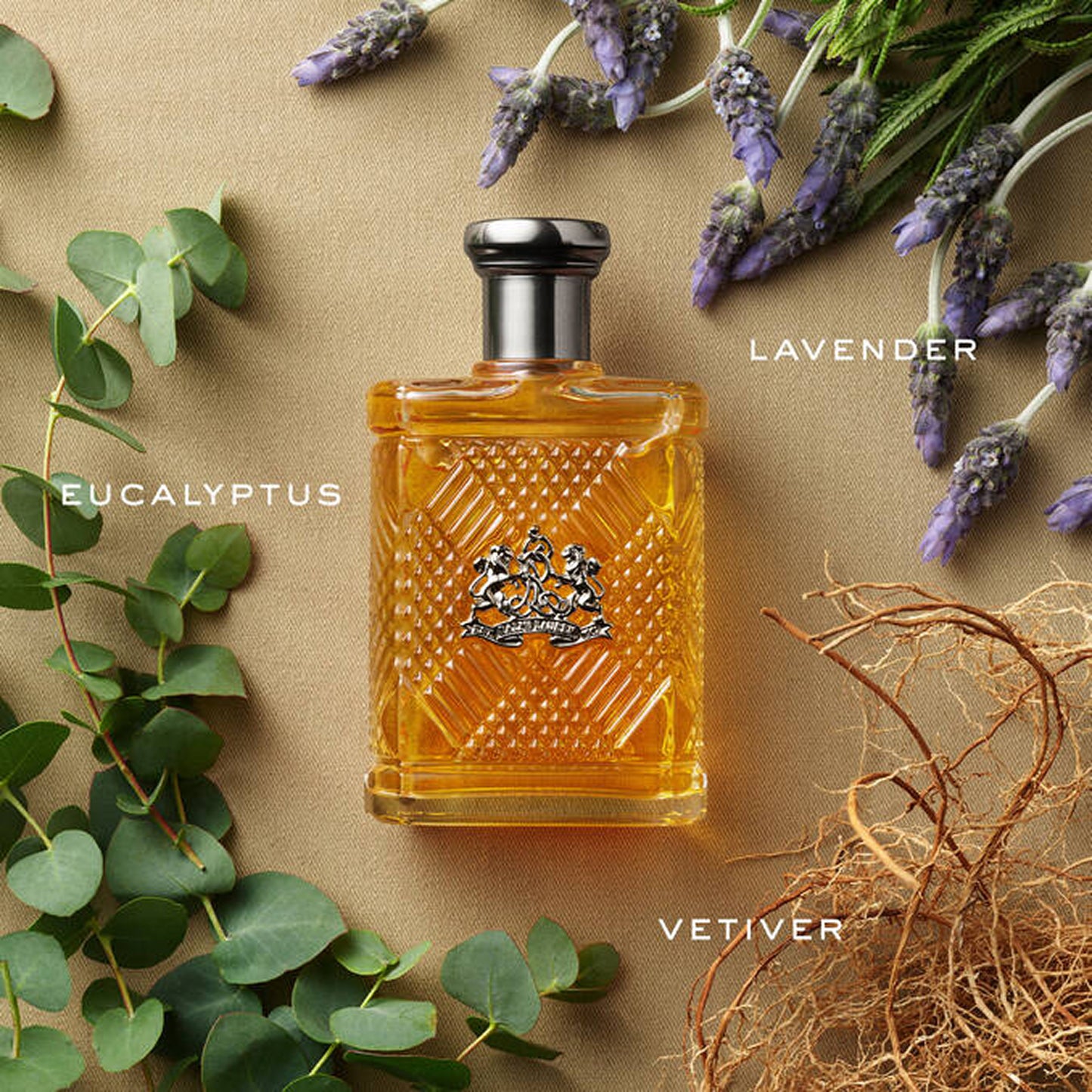 Ralph Lauren Safari Eau de Toilette Spray, 4.2 oz