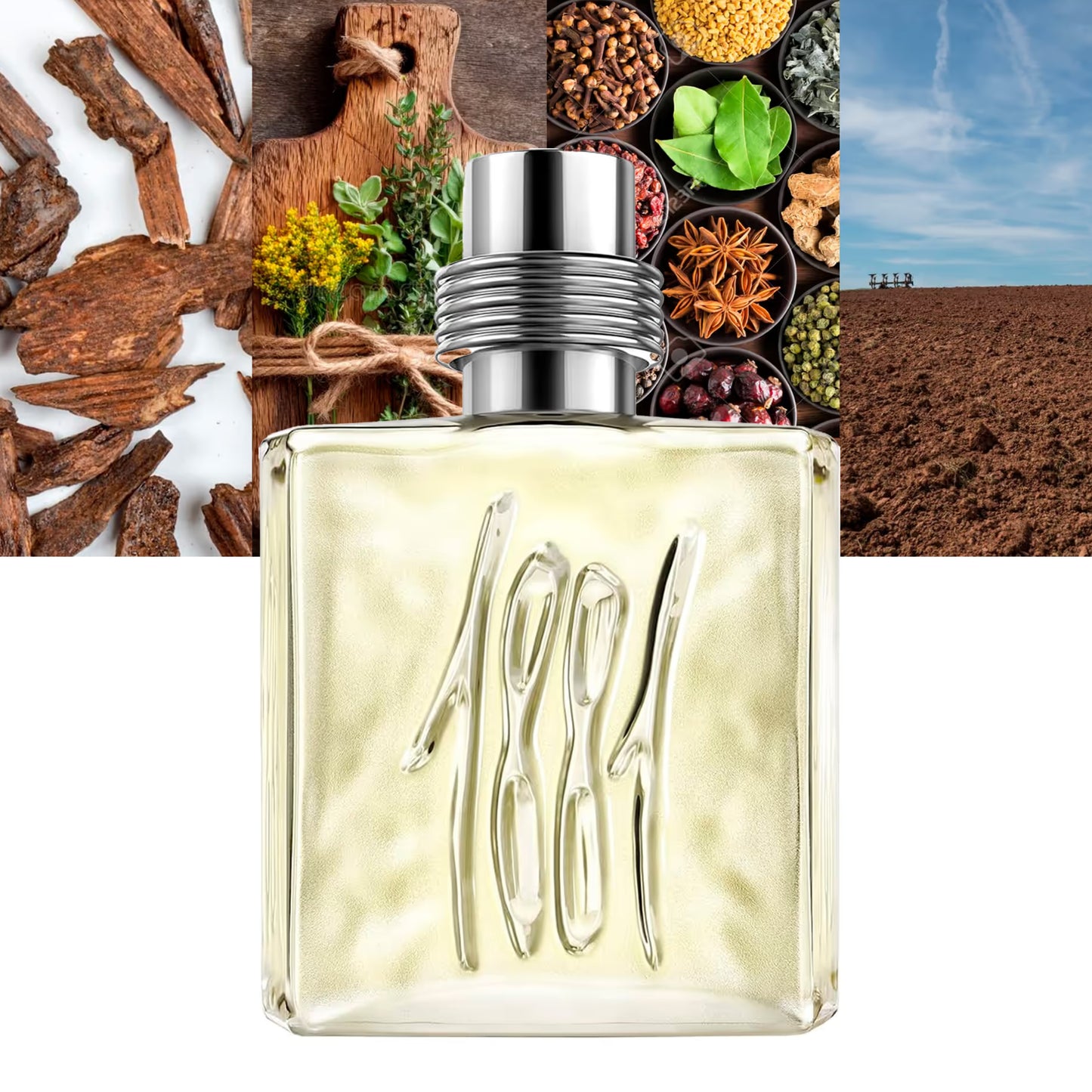 Cerruti 1881 by Nino Cerruti Eau De Toilette Spray, 3.4 oz