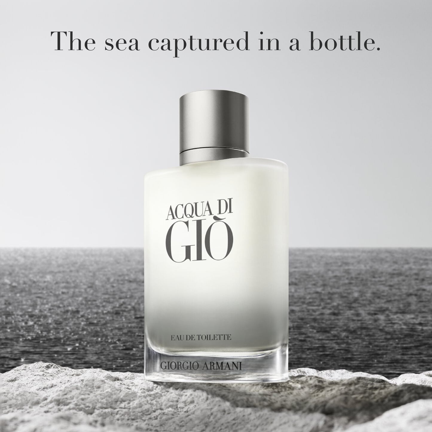 Giorgio Armani Acqua Di Gio Men Eau de Toilette Spray, 3.4 oz