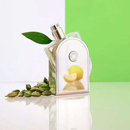 Hermes Voyage D'Hermes Eau de Toilette Spray, 3.3 oz