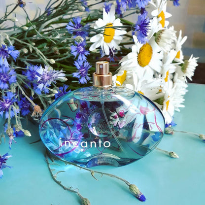 Salvatore Ferragamo Incanto Eau de Parfum Spray, 3.4 oz