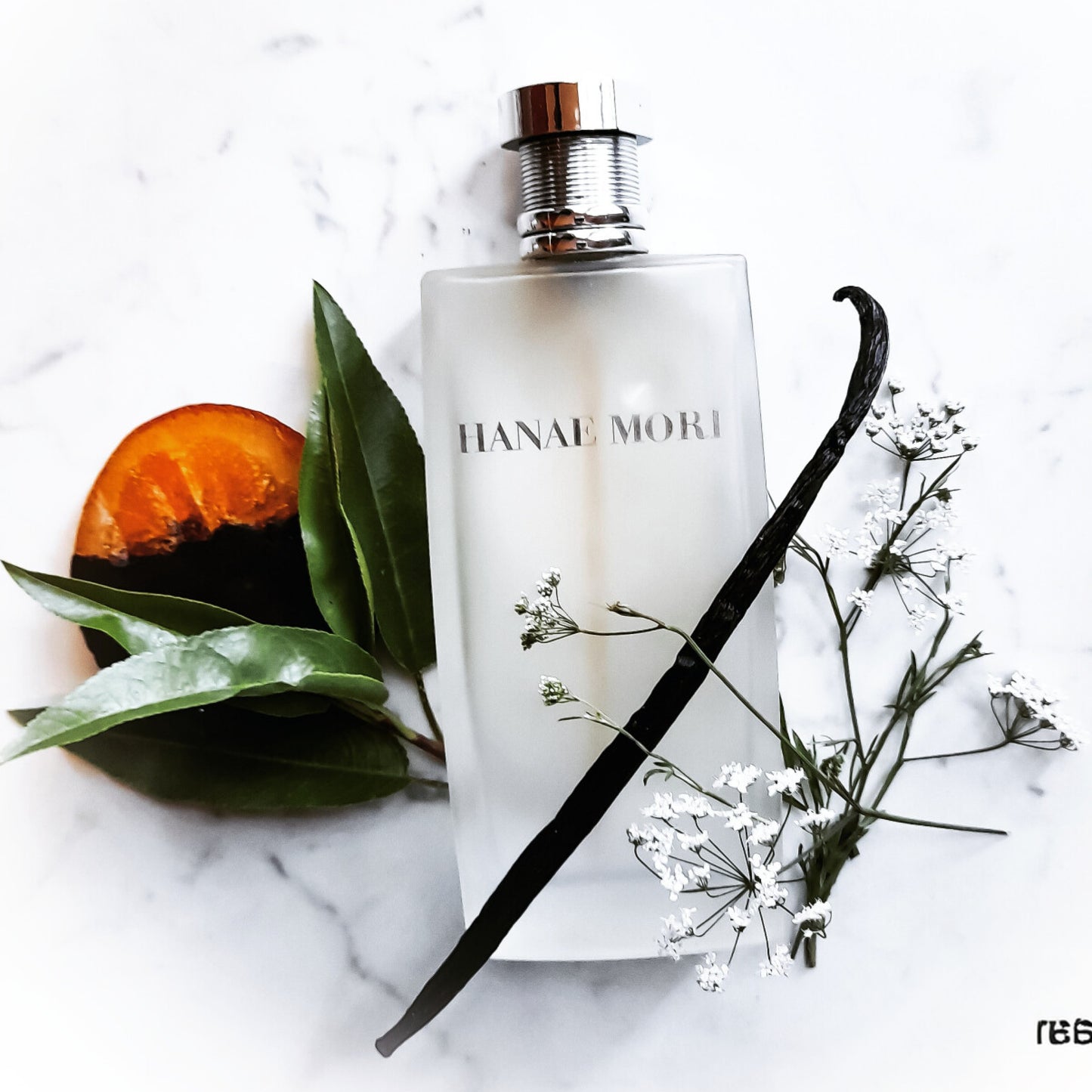 Hanae Mori Men Eau de Parfum Spray, 1.7 oz