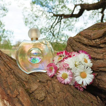 Elizabeth Taylor Forever Eau De Parfum Spray, 3.3 oz