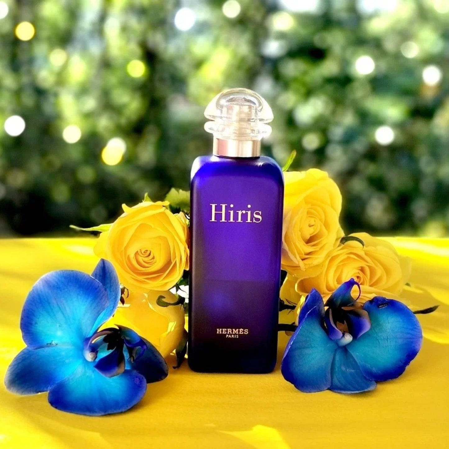 Hermes Hiris Eau de Toilette Spray, 3.3 oz