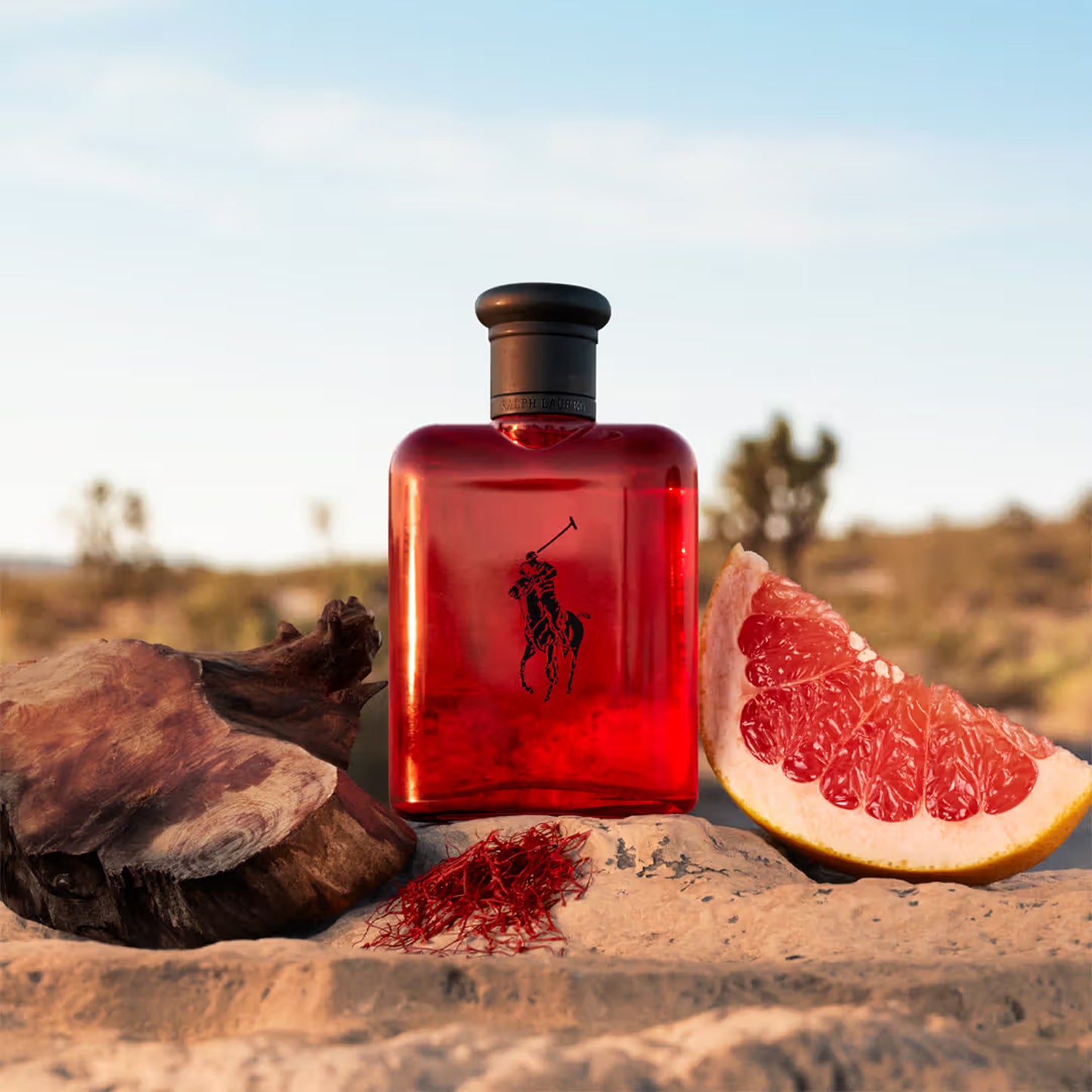Ralph Lauren Polo Red Eau De Toilette Spray, 4.2 oz