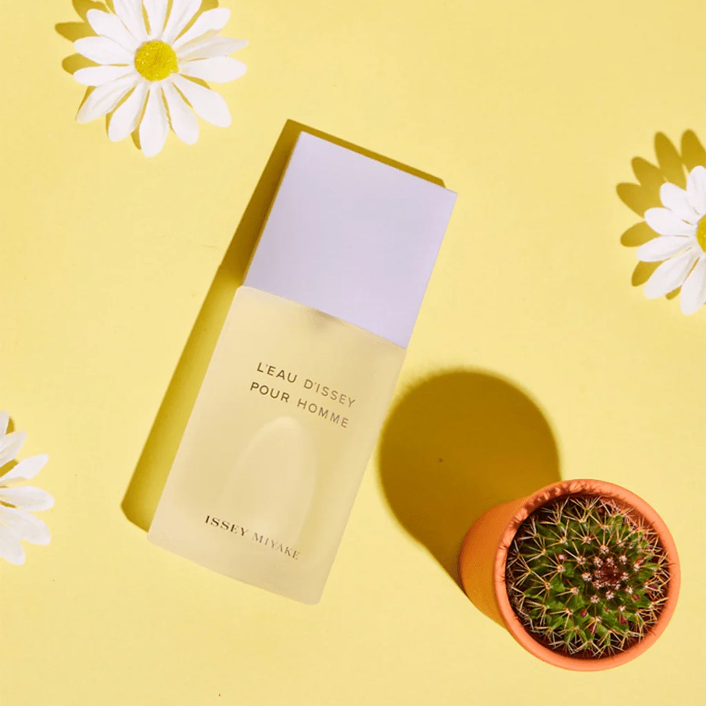 Issey Miyake L'Eau D'Issey Eau de Toilette Spray, 6.7 oz