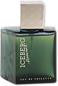 Iceberg Homme 3.4 OZ EDT SP
