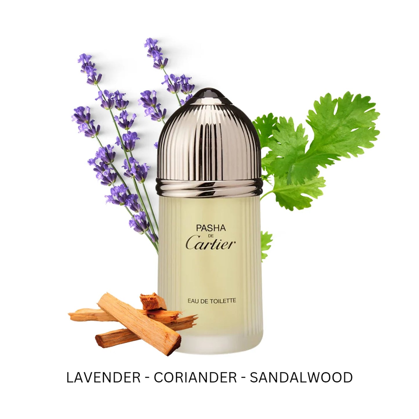 Cartier Pasha Eau de Toilette Spray, 3.3 oz