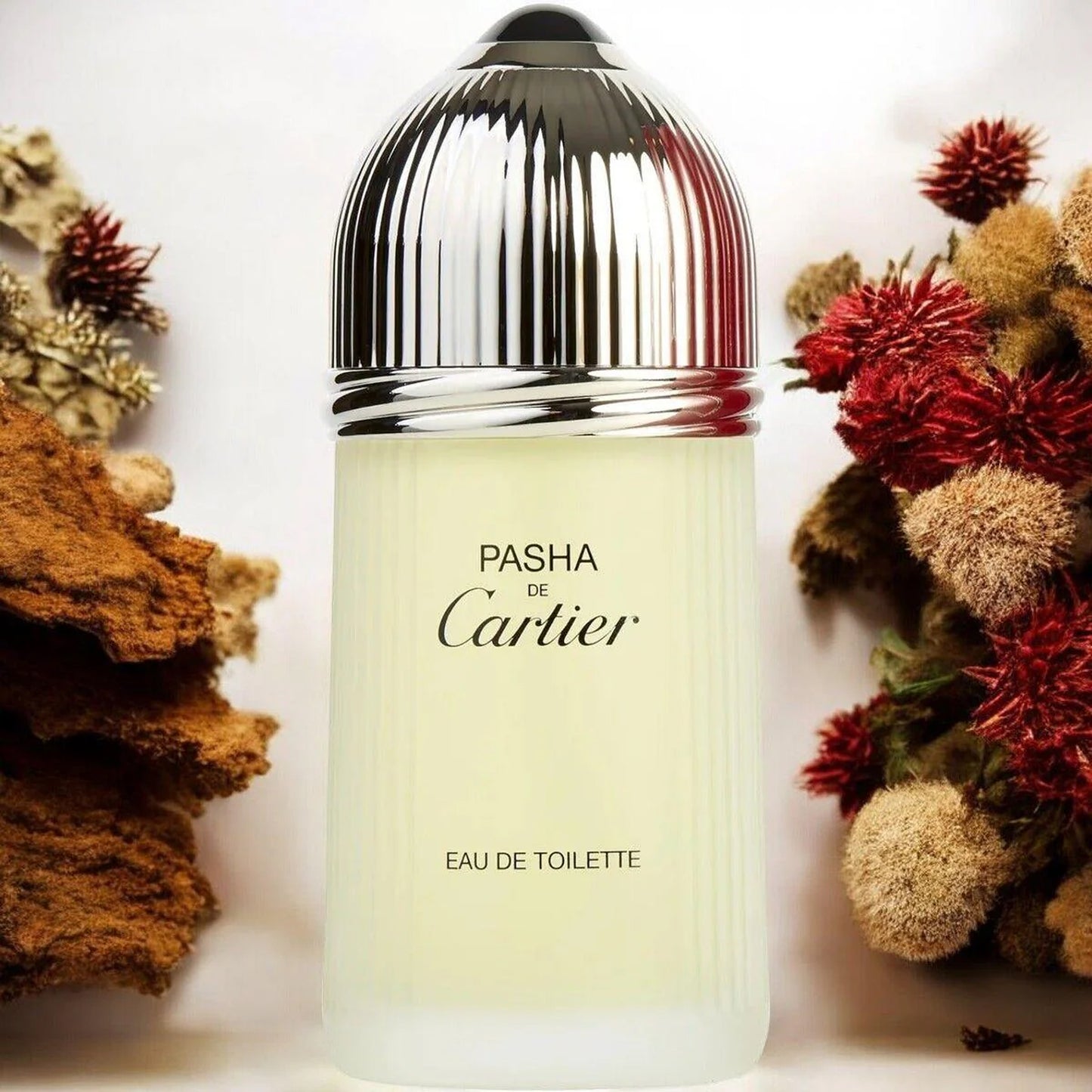 Cartier Pasha Eau de Toilette Spray, 3.3 oz
