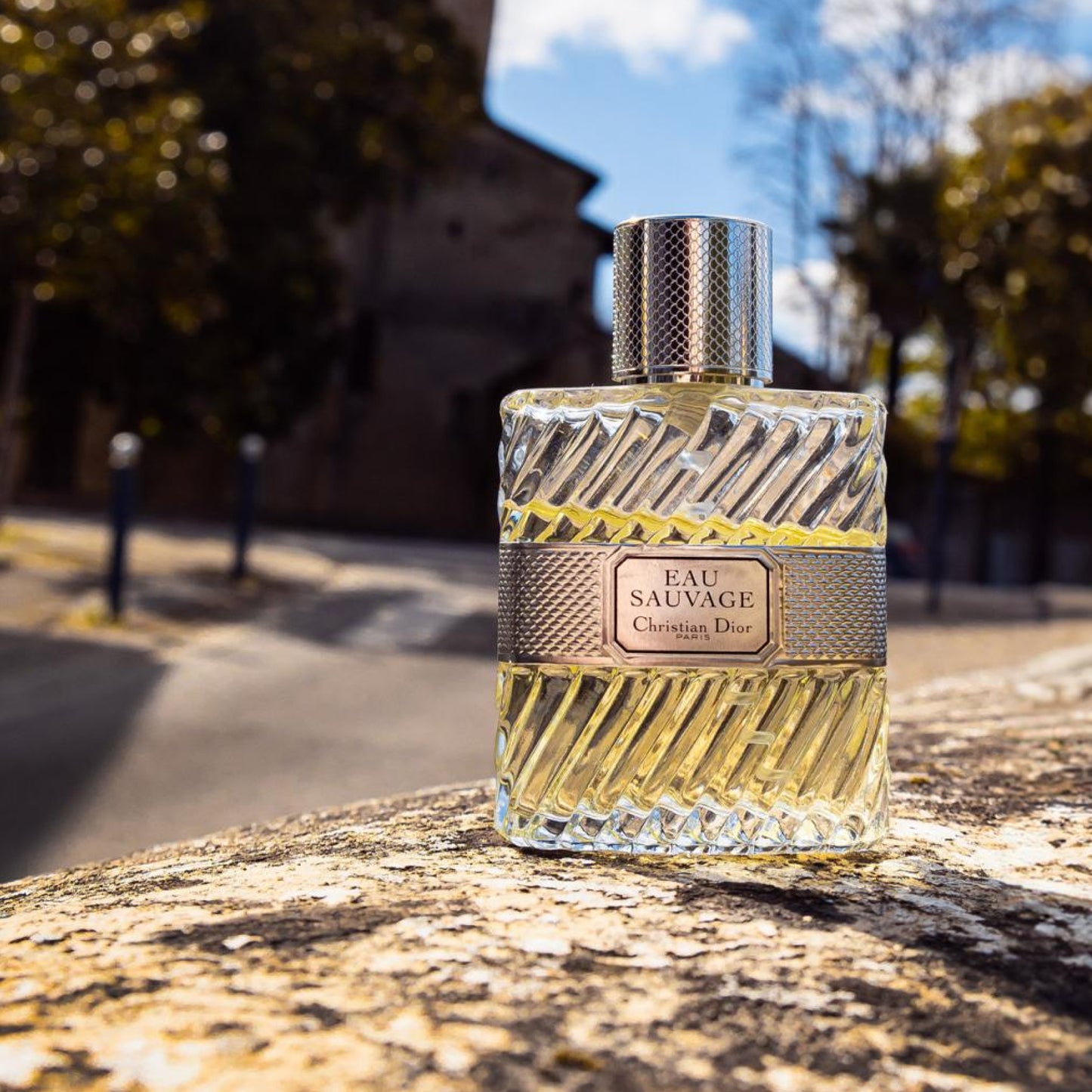 Dior Eau Sauvage Eau de Toilette Spray - 3.4 oz