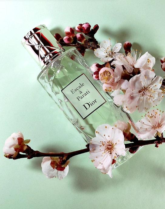 Christian Dior Escale à Parati Eau de Toilette 2.5 oz