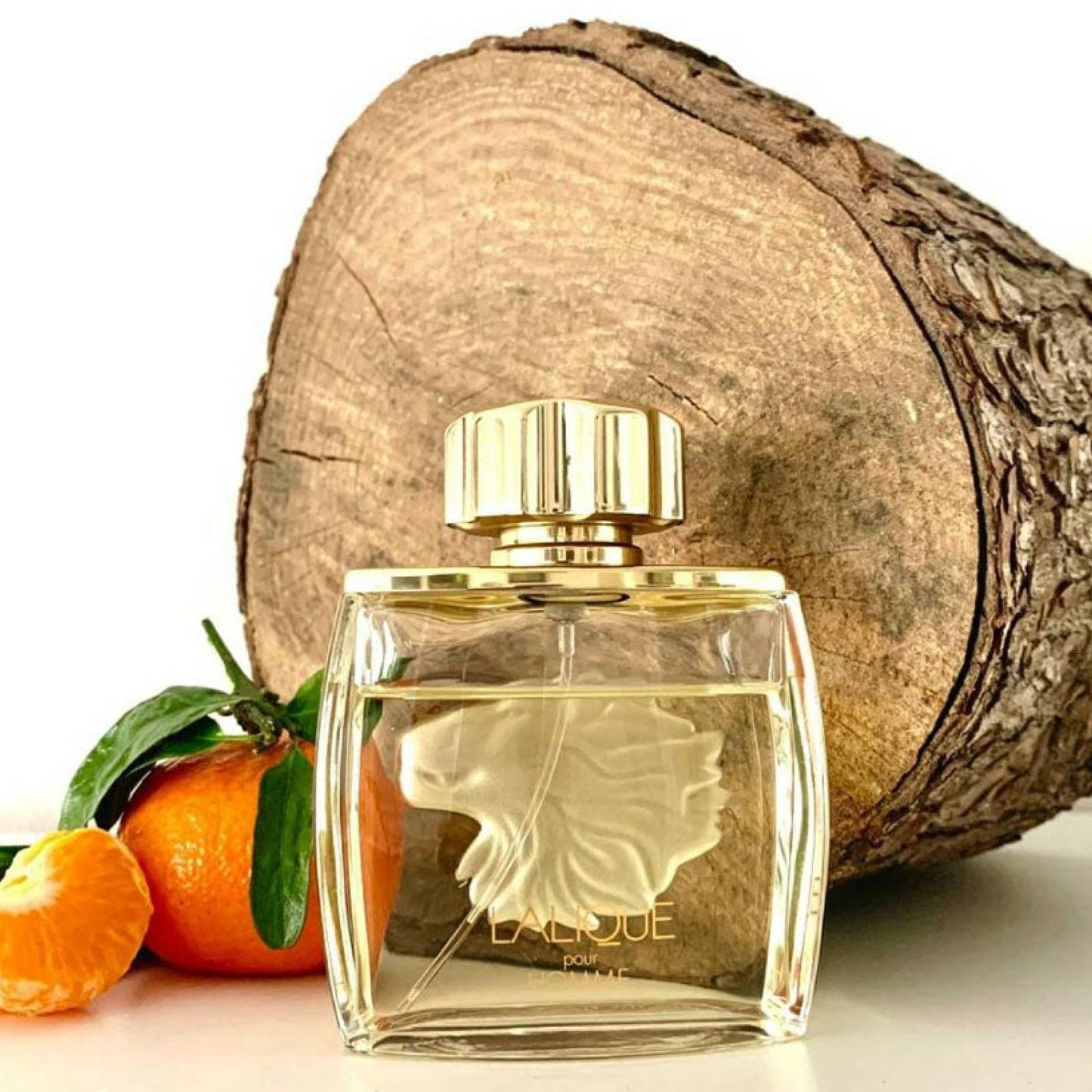 Lalique Pour Homme Lion Eau de Parfum Spray - 4.2 oz