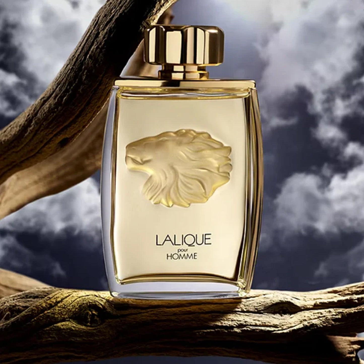 Lalique Pour Homme Lion Eau de Parfum Spray - 4.2 oz