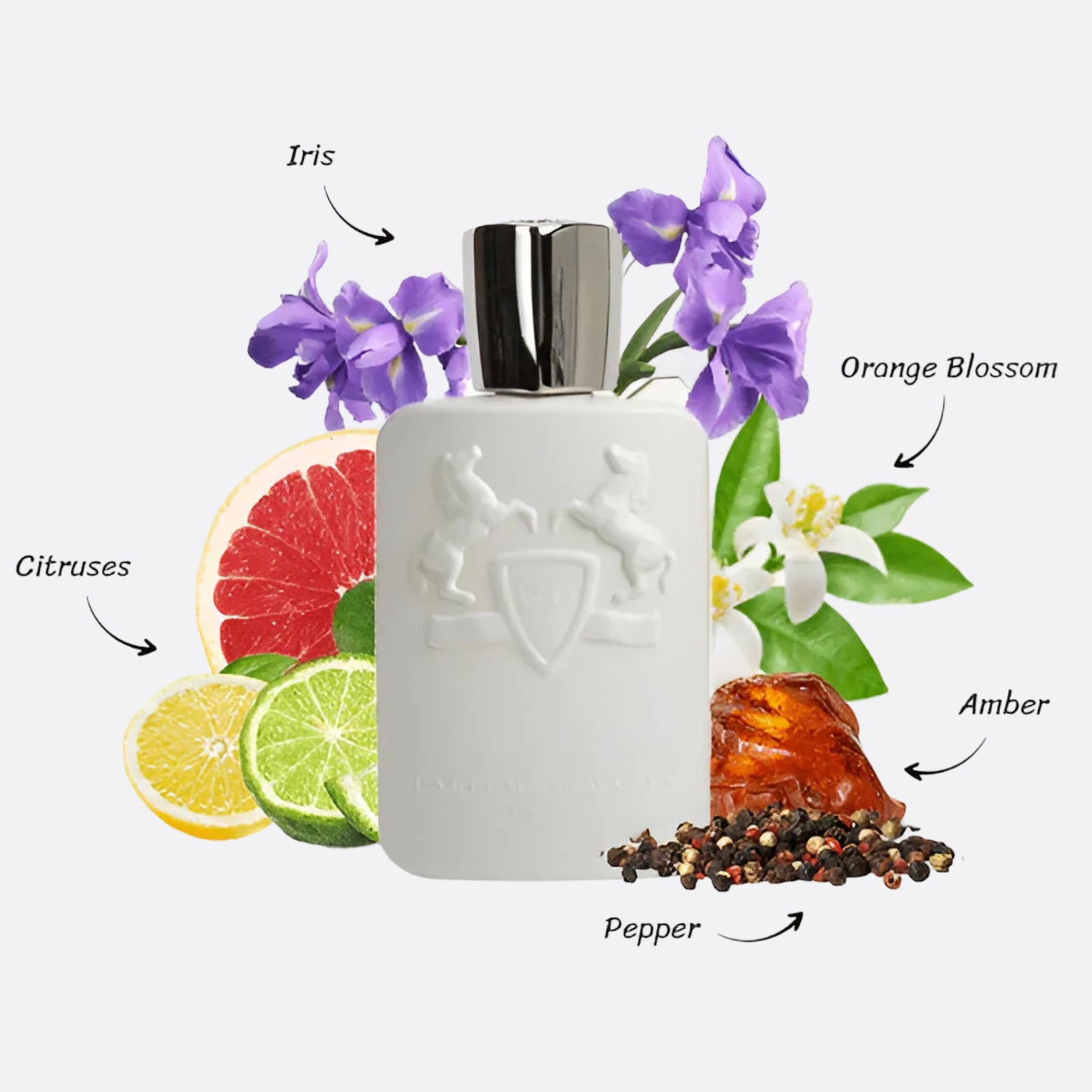 Parfums De Marly Galloway Royal Essence Eau de Parfum - 4.2 oz
